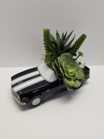 Speedy Succulent