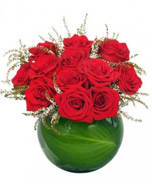 Spellbound Roses Red Rose Arrangement