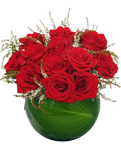 Spellbound Roses Red Rose Arrangement