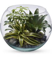 Sphere of Tranquility Terrarium HPL021A