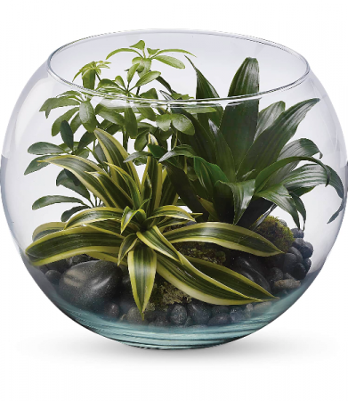 Sphere of Tranquility Terrarium HPL021A