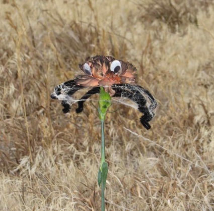 Spider Single stem add on