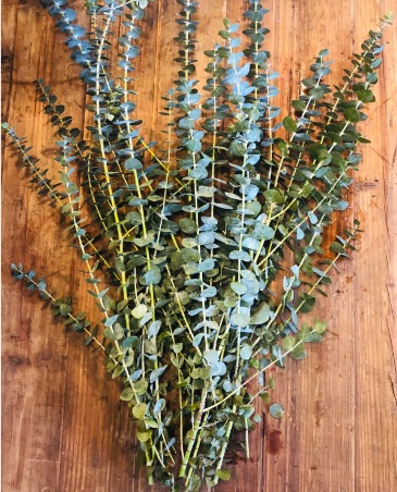 Spiral Eucalyptus PreOrder  in Norfolk, NE | Blossom + Birch