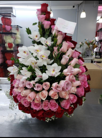 SPIRAL PINK