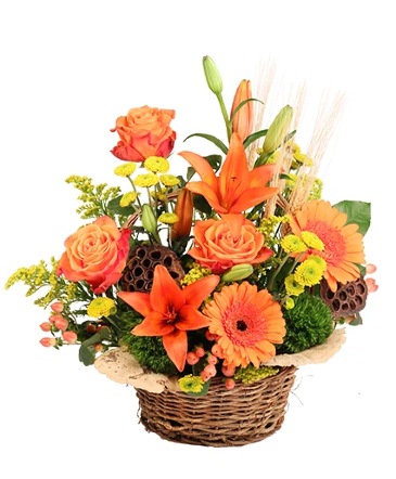 Spirited Citrus Basket Arrangement  in Winnipeg, MB | Ann's Flowers & Gifts