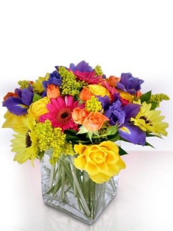 Splash of color Happy