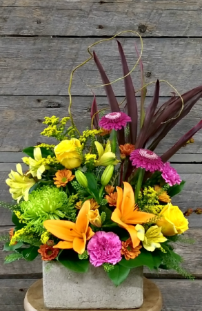 Splash of Colour Container