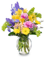 SPLASH OF SPRING Flowers in a Vase
