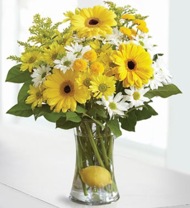 Splash Of Yellow