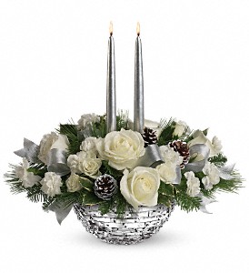Splendid In Silver Holiday-Christmas
