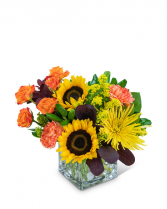 Splendid Sun Flower Arrangement in Nevada, Iowa | Flower Bed
