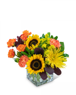 Splendid Sun Flower Arrangement in Nevada, IA | Flower Bed Splendid Sun Flower Arrangement in Nevada, IA | Flower Bed