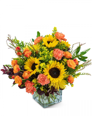 Splendid Sunflowers Flower Arrangement in Nevada, IA | Flower Bed Splendid Sunflowers Flower Arrangement in Nevada, IA | Flower Bed