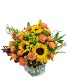 Splendid Sunflowers Flower Arrangement