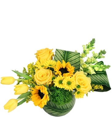 Splendid Sunshine Vase Arrangement in Botkins, OH | Jenny's Designs Flowers And Gifts