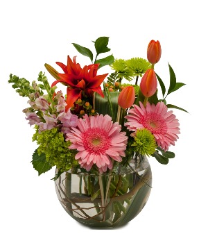 Splendor Surprise All Around Arrangement