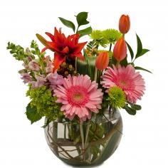 Category Image