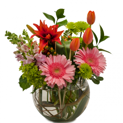 Splendor Surprise Arrangement