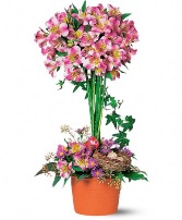 SPLENDOR SURPRISE Vase Arrangement