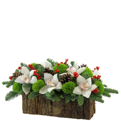 Splendor Winter Christmas