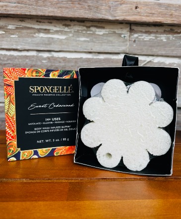 Spongelle Sweet Cedarwood Body Wash Infused Buffer in Key West, FL | Petals & Vines Spongelle Sweet Cedarwood Body Wash Infused Buffer in Key West, FL | Petals & Vines