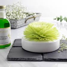 Spongelle Tea Blossom Diffuser