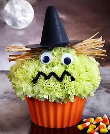SPOOKY CUPCAKE   in Williamsburg, VA | Blessing and Blooms Florist