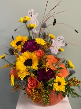 SPOOKY PUMPKIN  HALLOWEEN Special!