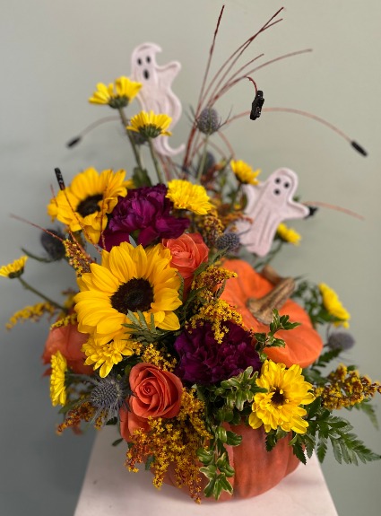 SPOOKY PUMPKIN  HALLOWEEN Special!