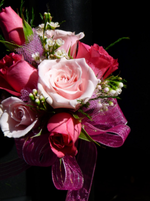 Spray Rose Corsage in Kensington, CT | BRIERLEY-JOHNSON THE FLORIST Spray Rose Corsage in Kensington, CT | BRIERLEY-JOHNSON THE FLORIST