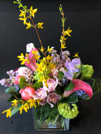 Special Spring Spring