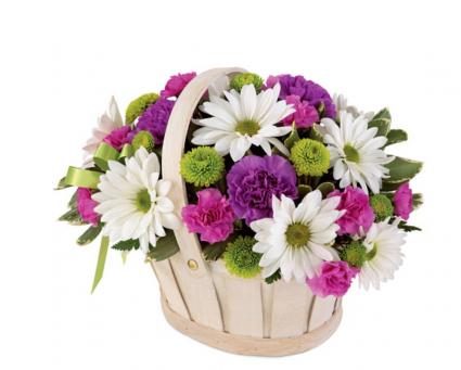 Spring basket Basket