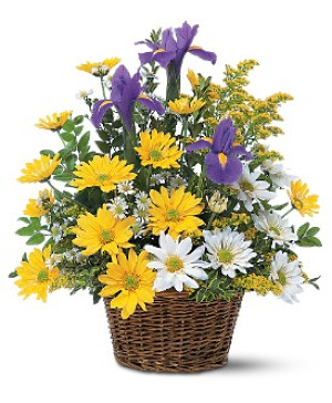 Spring Basket - Daisys & Iris 