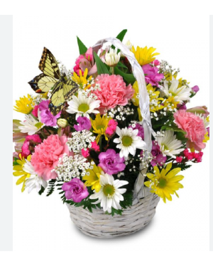 Spring Basket Mixed Assorted Flowers 