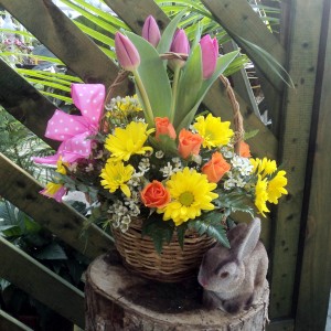 Spring Basket of Blooms Basket Arrangement in North Adams, MA | MOUNT WILLIAMS GREENHOUSES INC