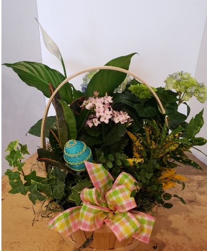 Spring basket with handle Plants