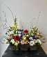 Spring Bird's Haven 