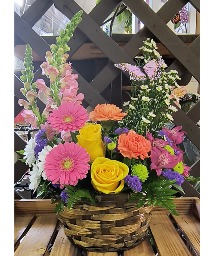 Spring Blooms 
