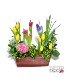 Spring Blooms Box  