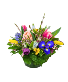 Spring Blooms  Designer Choice Vased Arrangement