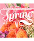 Spring Bouquet Premium Designer's Choice