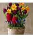 Spring Bulb Basket 
