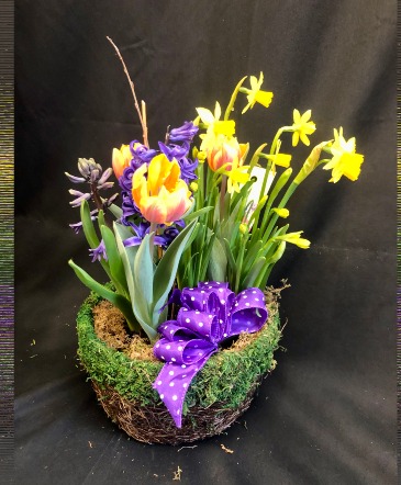 SPRING BULB GARDEN  in Chelmsford, MA | A FLORAL MOMENT BY JUJU BUDS