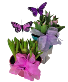Spring Bulb Garden 
