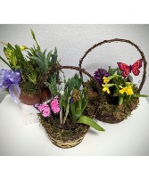 Spring Bulb Garden Baskets