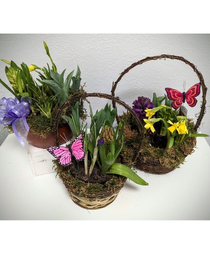 Spring Bulb Garden Baskets