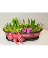 Spring Bulb Garden Perennial Bulb Garden