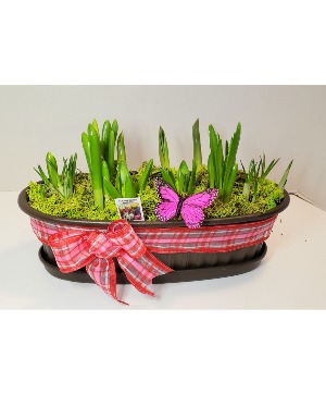 Spring Bulb Garden Perennial Bulb Garden