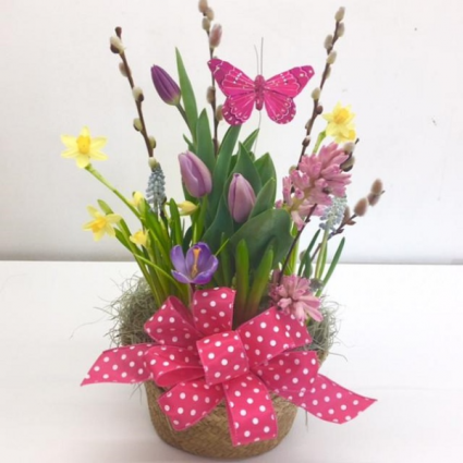 Spring bulb pot planter basket