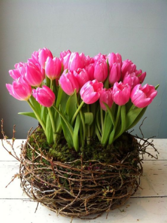 Spring Bulbs
